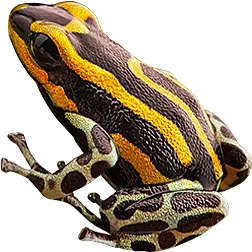 Green-Legged Sira